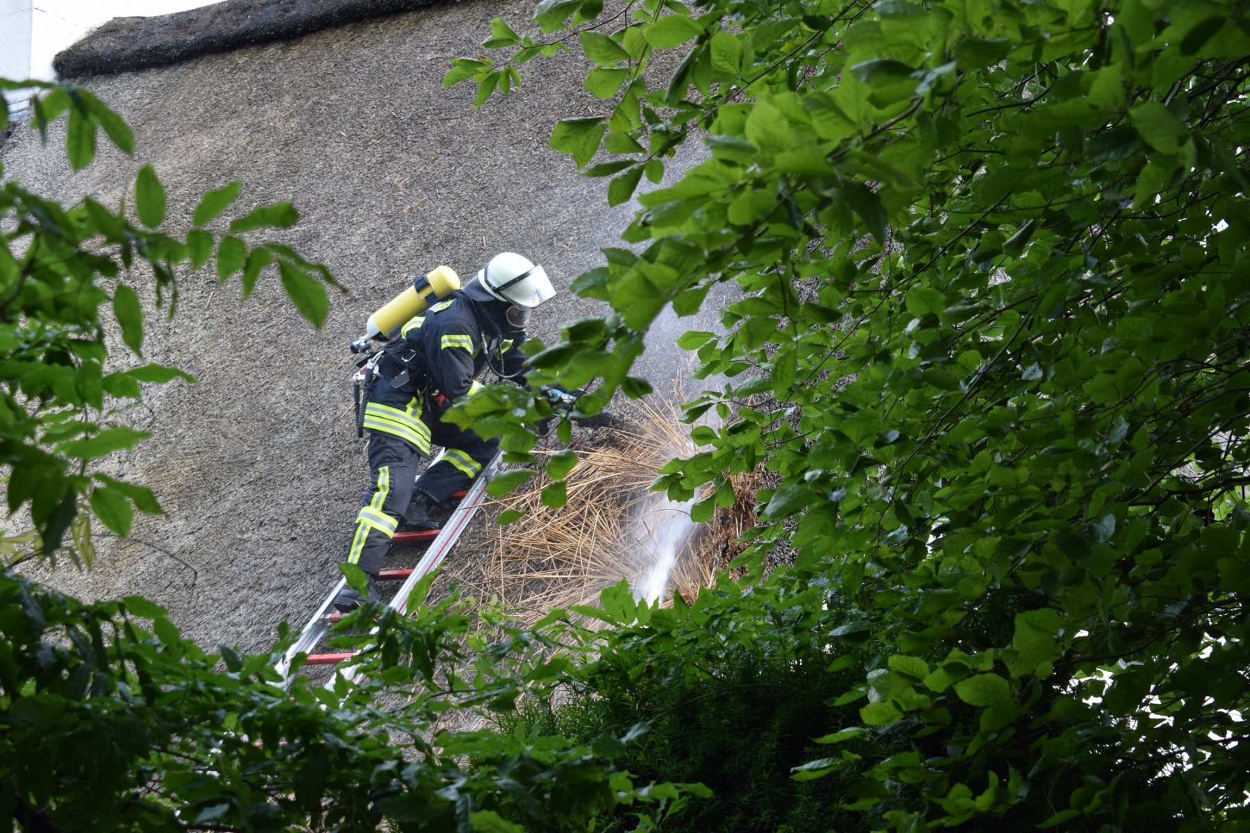 20-06-20-F2-Thieshope-Bild-7