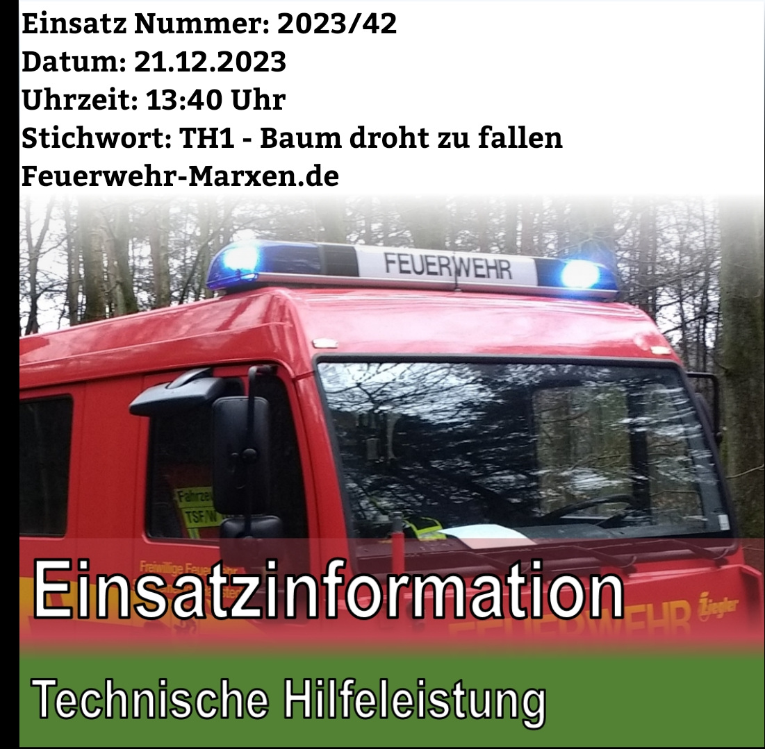 1703165521919