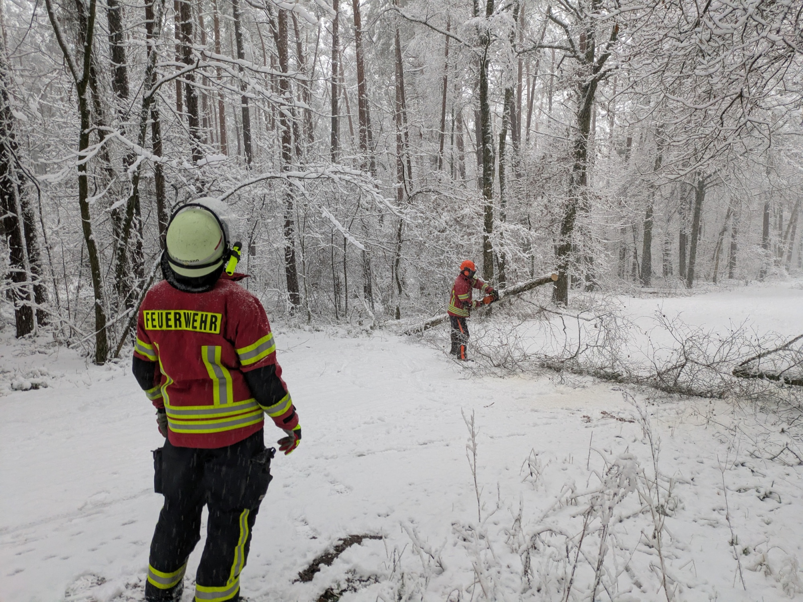 PXL_20260103_085638806-Kopie